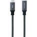NANOCABLE CABLE USB 3.2 GEN2x2 100W 4K/60Hz USB-C M/H 1 M