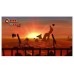 NINTENDO-NS-J DNKY KONG CNT RE HD