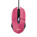 RATON TRUST GXT 109 FELOX PK