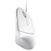 RATON OPTICO ERGONOMICO VERTICAL VERTO BLANCO TRUST (Espera 4 dias)