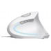 RATON OPTICO ERGONOMICO VERTICAL VERTO BLANCO TRUST (Espera 4 dias)