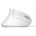 RATON OPTICO ERGONOMICO VERTICAL VERTO BLANCO TRUST (Espera 4 dias)