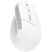 RATON TRUST BAYO II WIRED WH