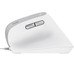 RATON TRUST BAYO II WIRED WH