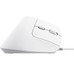 RATON TRUST BAYO II WIRED WH