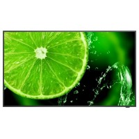 NEC MultiSync E498 124,5 cm (49") IPS 350 cd / m² 4K Ultra HD Negro 16/7 (Espera 4 dias)
