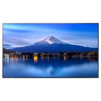 SHARP-NEC PROFESSIONAL LARGE FORMAT DISPLAYS PN-P556, 55" P-SERIES LFD, UHD, 700CD/M2, D-LED BACKLIGHT, 24/7 PROOF, SDM SLOT, CM-SLOT  (60005916) (Espera 4 dias)