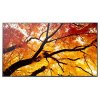Sharp MultiSync M432 Pantalla plana para señalización digital 108 cm (42.5") LCD 550 cd / m² 4K Ultra HD Negro (Espera 4 dias) Sharp MultiSync M432 Pantalla plana para señalización digital 108 cm (42.5") LCD 550 cd / m² 4K Ultra HD Negro (Espera 4 dias)