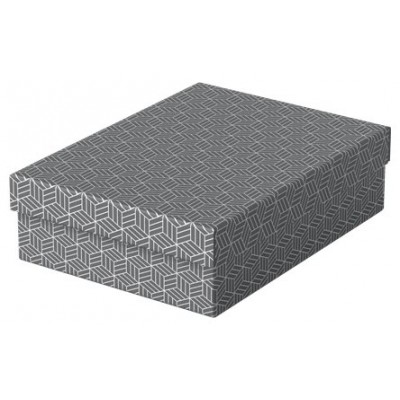 PACK 3 CAJAS GRISES 360X265X100MM ESSELTE 628285 (Espera 4 dias)