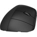 HP Ratón vertical ergonómico 925 (Espera 4 dias) HP Ratón vertical ergonómico 925 (Espera 4 dias)