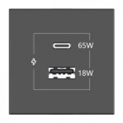 KRAMER CONNECT - ROOM CONNECTIVITY BLACK USBC 65W PORT AND U (Espera 4 dias)
