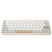 ASU-TEC MARSH KW100 BG ASU-TEC MARSH KW100 BG