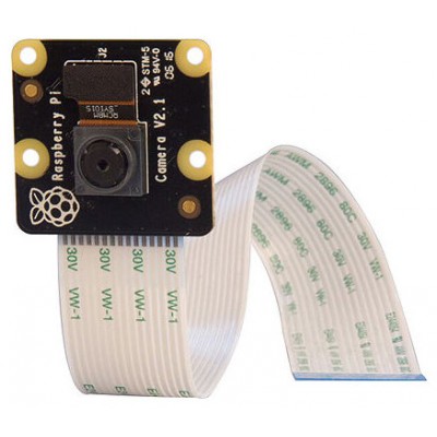 Raspberry Pi PiNoir Camera Module V2.1 Cámara Multicolor (Espera 4 dias)