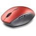 RATON NGS BEE RED
