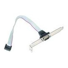 Gembird Cable DB9 Puerto Serie de 10pin 0,25mts Gembird Cable DB9 Puerto Serie de 10pin 0,25mts