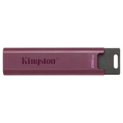 MEMORIA KINGSTON-JETFLASH DTMAXA 256GB