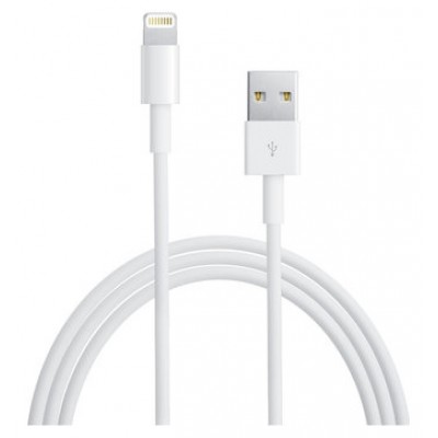 Ewent EW9908 cable de conector Lightning 1 m Blanco (Espera 4 dias)