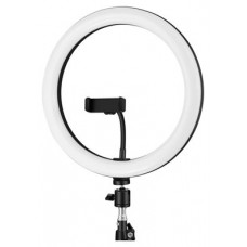 iggual Kit Aro luz LED 10" + Trípode 200 cm